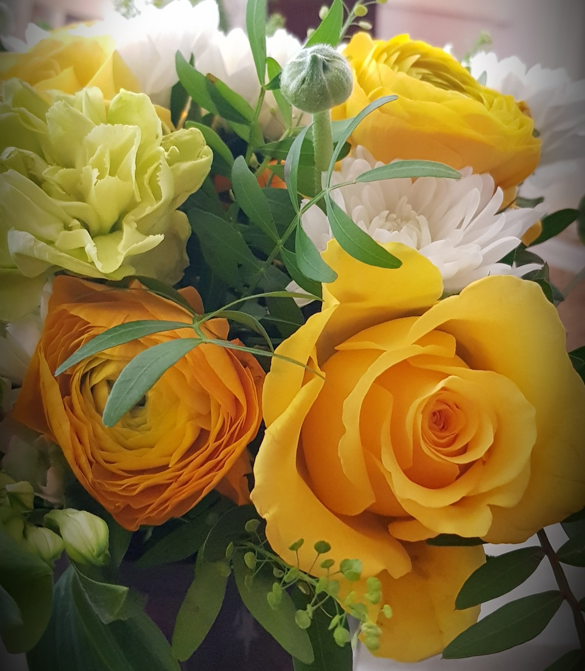 Kuvassa on keltainen ruusu ja jaloleinikki ja muita kevään kukkia.